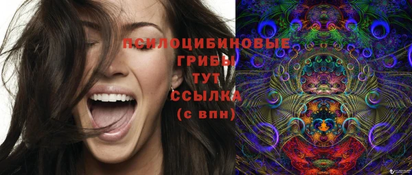 синтетический гашиш Снежногорск
