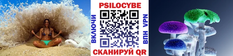 Галлюциногенные грибы Psilocybe  Озёры 